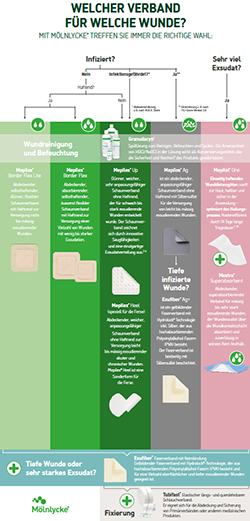 Einfach Machen Flyer ohne XT