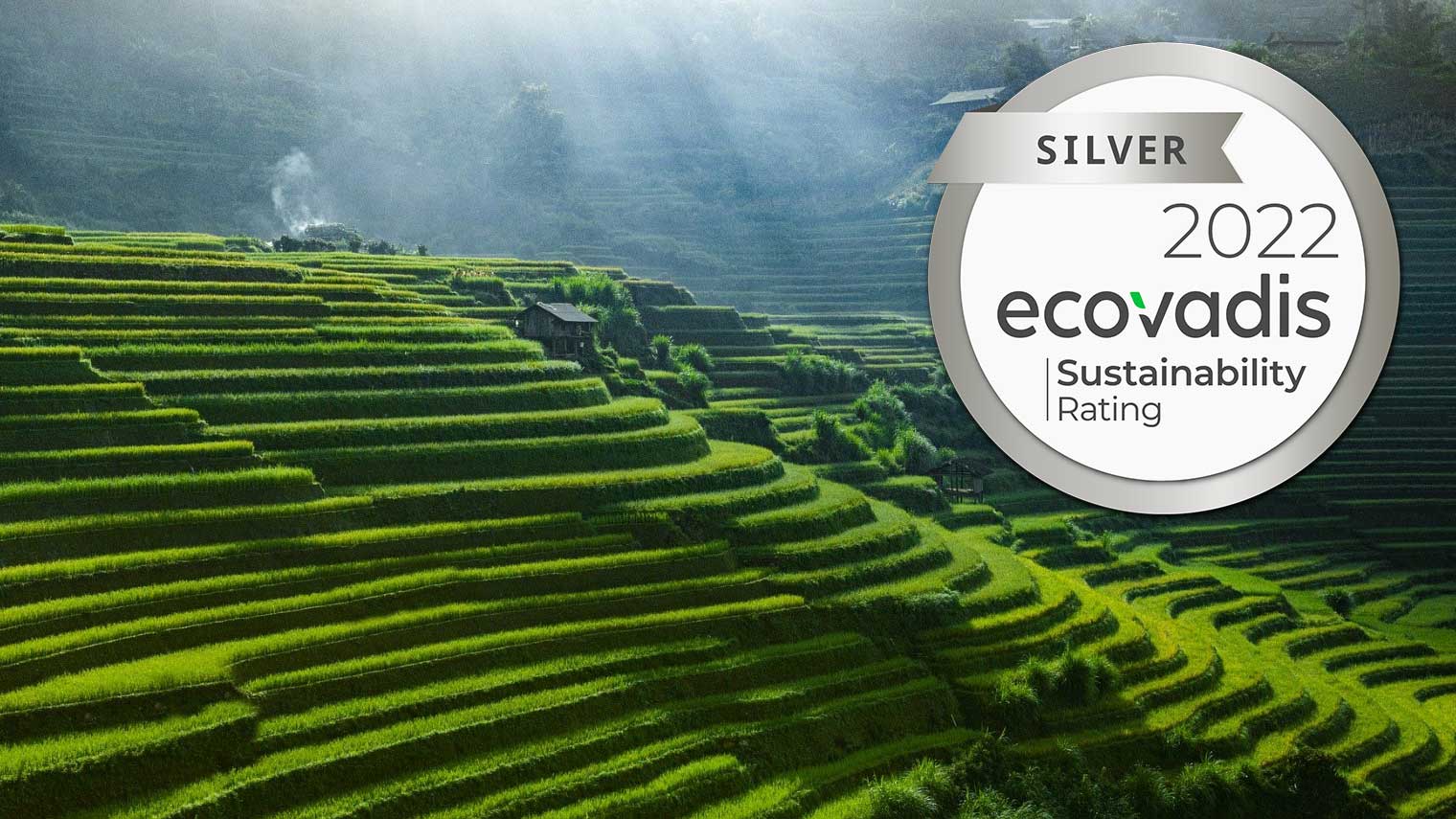 Rice fields and EcoVadis silver medal