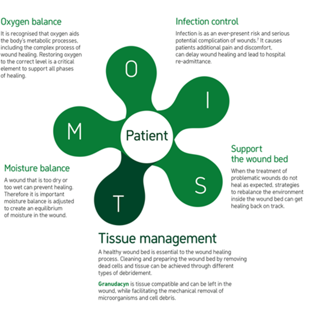 An illustration of the M.O.I.S.T concept.