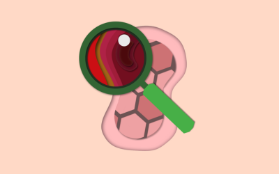 modulo4_2025
