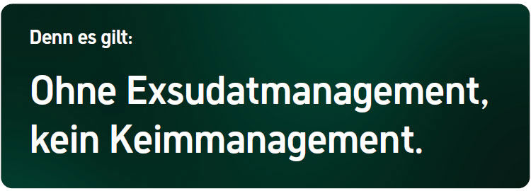 Ohne Exsudatmanagement, kein Keimmanagement