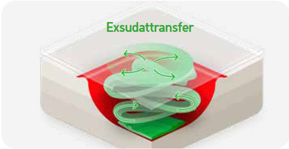 Exsudattransfer