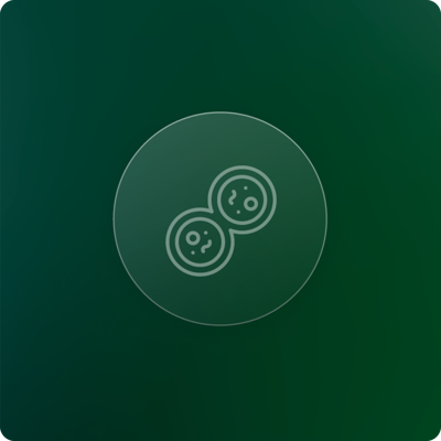 Cell Proliferation